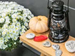 Feuerhand Baby Special 276 Black Stormlamp -Buiten Kamperen feuerhand stormlamp zwart 4 ecommerce 1292