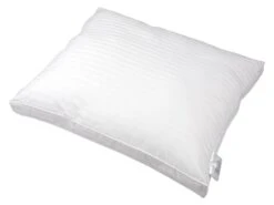 Polydaun Jasmijn Kussen